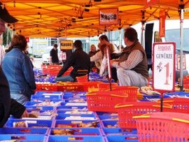 Marktzelte von QUICKUPTENT - schnell aufgebaut, sicherer Stand